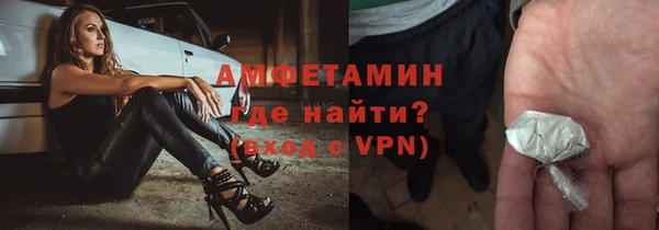 крисы Абаза