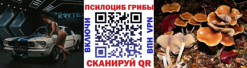 Псилоцибиновые грибы мухоморы мега сайт Канск